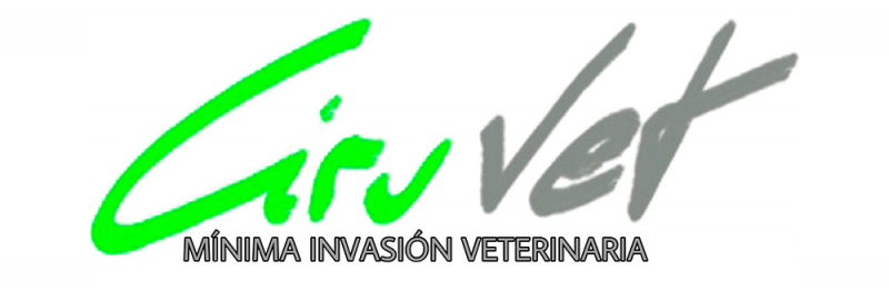 Ciruvet mínima invasión veterinaria