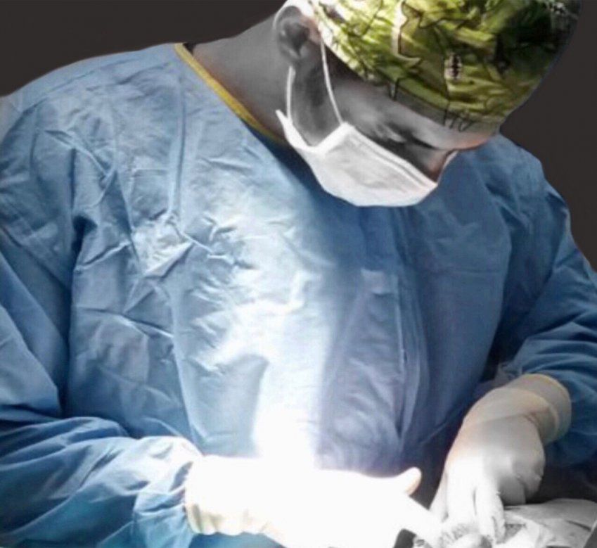 Cirugía y endoscopia veterinaria en Madrid